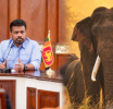 President Appoints Expert Committee to Investigate the Death of tusker ‘Kavanthissa’ and Recommend a National Elephant Conservation Programme